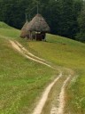 Mladí brontosauři strávili léto u českých krajanů v Banátu
